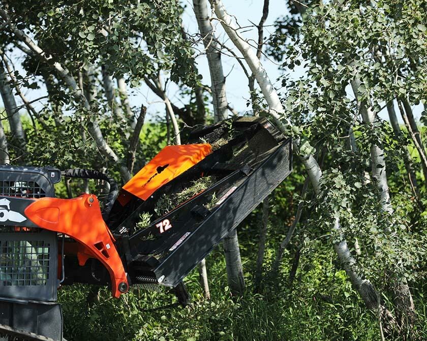 Land Clearing / Forestry Mulching